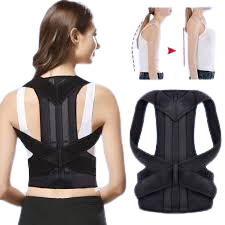 حزام ظهر حريمى _3303